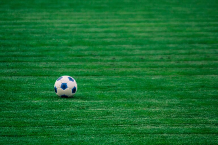 Read more about the article Komunikat PZPN w sprawie meczu Sandecja Nowy Sącz – Śląsk Wrocław