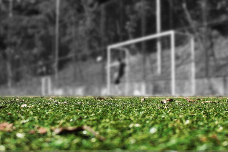 Read more about the article Uczniowskie kluby sportowe jako szczególna forma prawna klubu sportowego